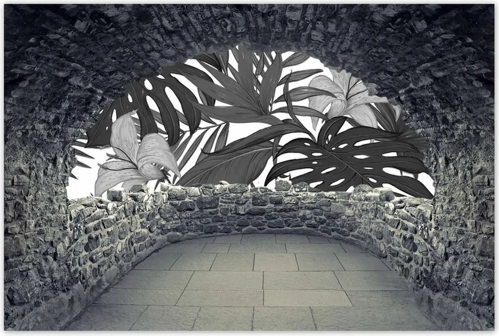 Poszterek 90x60 Fekete-fehér monstera