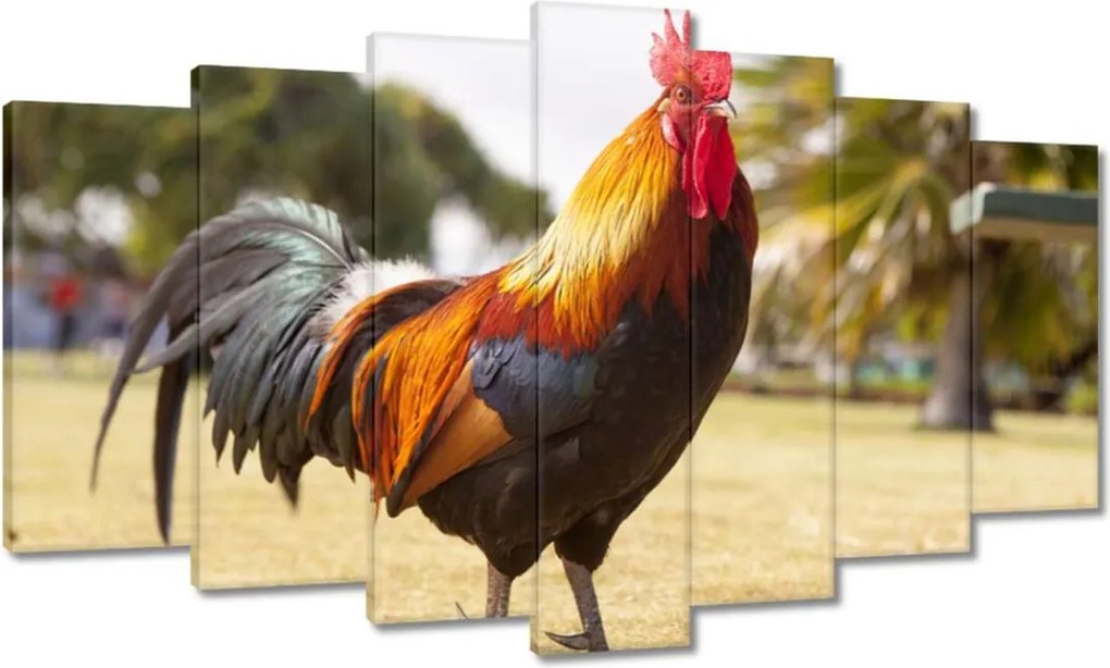 Festmények 140x80 Kakas