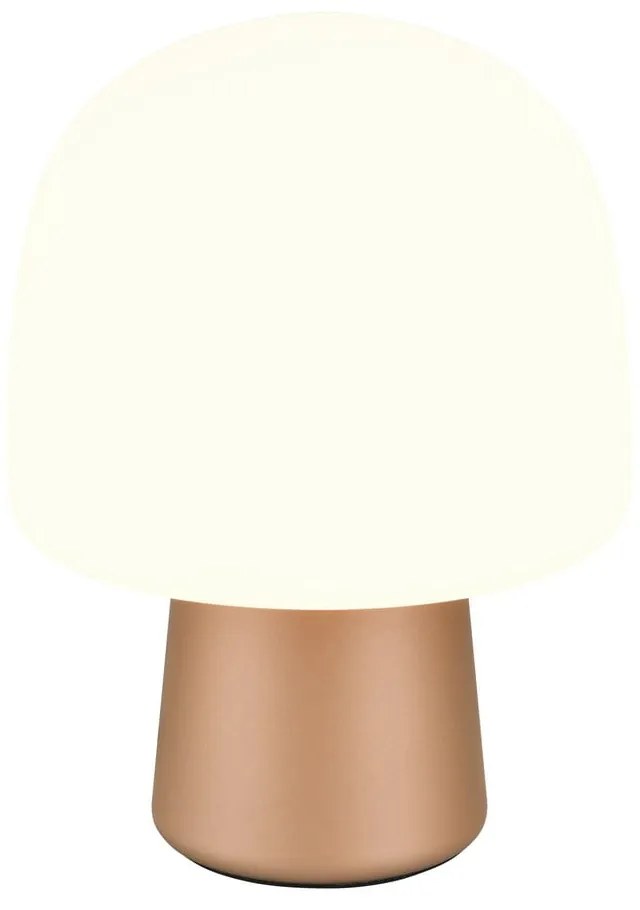 Fehér-bronzszínű asztali lámpa üveg búrával (magasság 27 cm) Steen – Trio