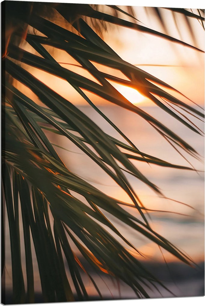Vászonkép Természet Tengerpart Pálma Tenger Naplemente 80x120