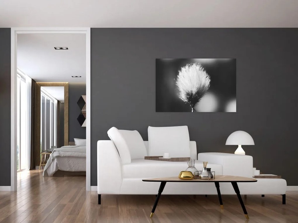 Kép - Fekete-fehér pamutfű (90x60 cm)