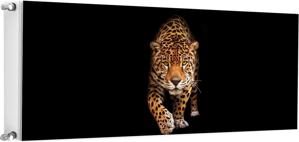 Mágneses Radiátorszőnyeg 140x60 Macska Fotótapéta