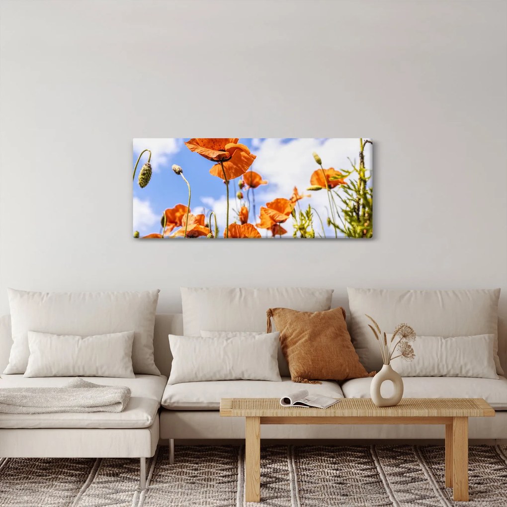 Pipacsok képe (120x50 cm)