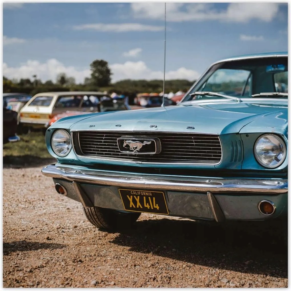 Poszterek 100x100 Ford Mustang Usa autó