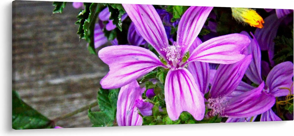 Kép - réti virágok (120x50 cm)