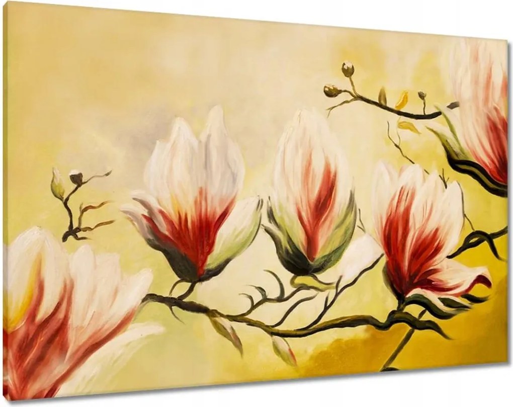 Festmények 100x70 Magnólia