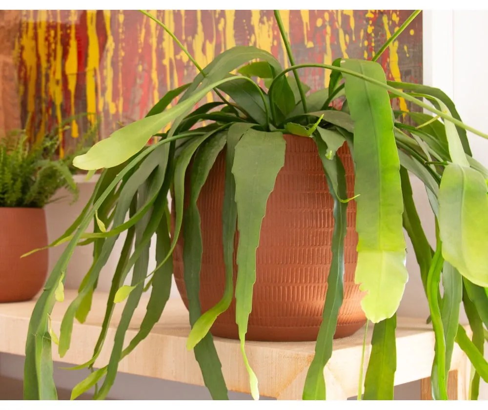 Kerámia kézzel készített virágcserép ø 20 cm Aura – Artevasi