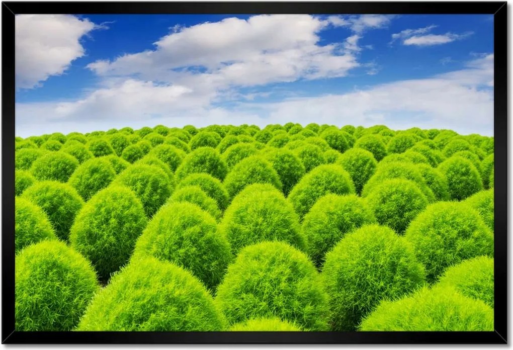 Poszterek keretben 60x40 Zöld tekintet Völgy