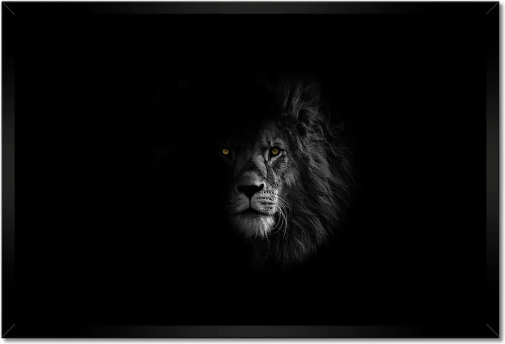 Poszterek keretben 60x40 Oroszlán az árnyékban Király