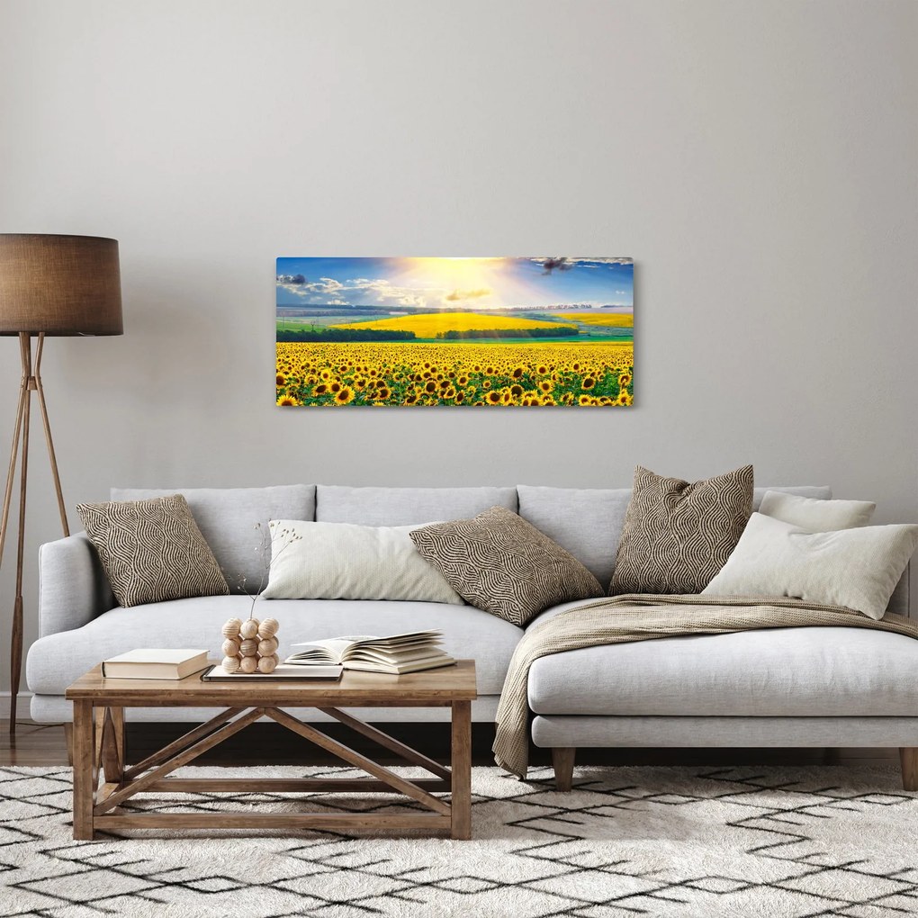 Kép - Napraforgó mező (120x50 cm)