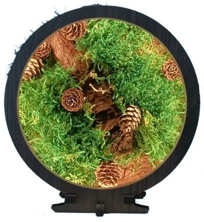 Li-Go 23654 - LED fényerőszabályozható asztali dekoráció LED/12W/230V 20x22 cm moha