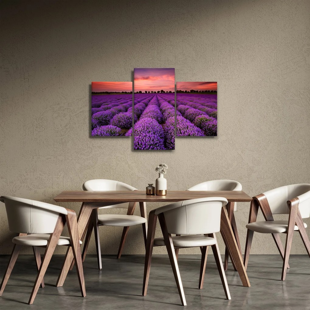 Kép - Levendula mező (90x60 cm)