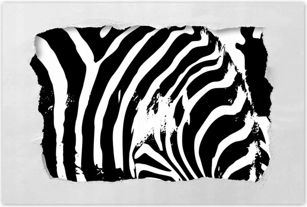Poszterek 120x80 Zebra csíkos kisállat