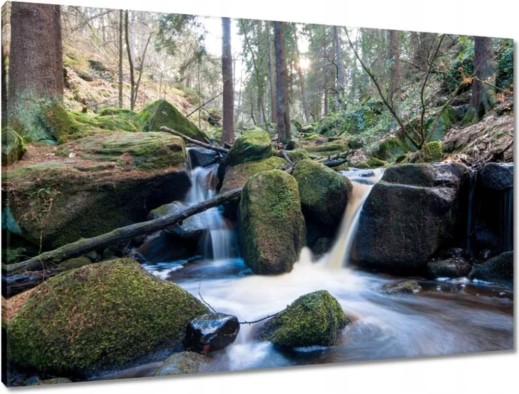 Vászonkép 90x60 Hegyi zuhatagok