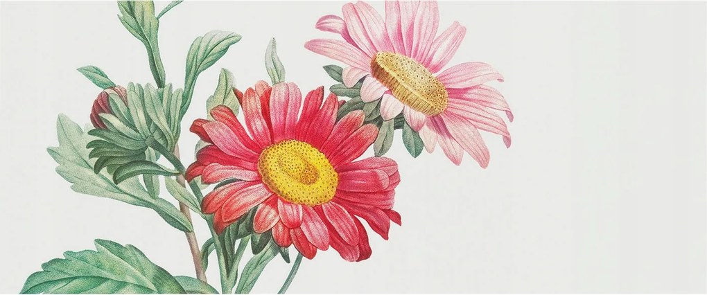 Fali fotótapéta Étkezőbe Finom virágok 250x104 Ragasztó