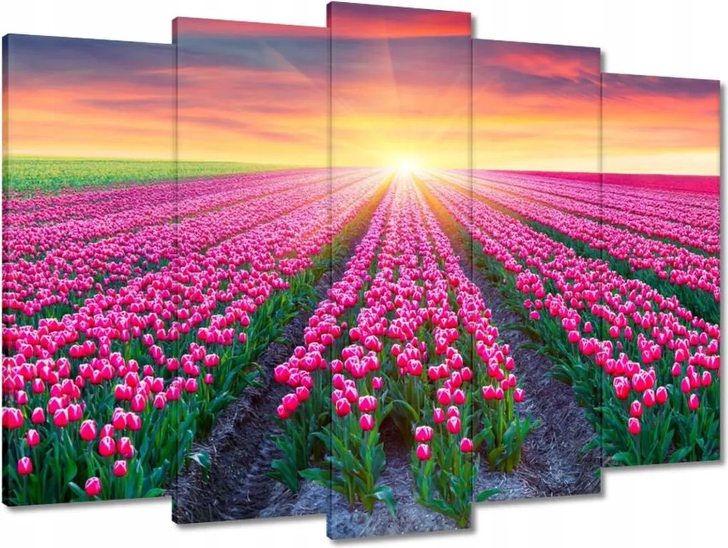 Vászonkép 70x50 Tulipánok tengere Virágok