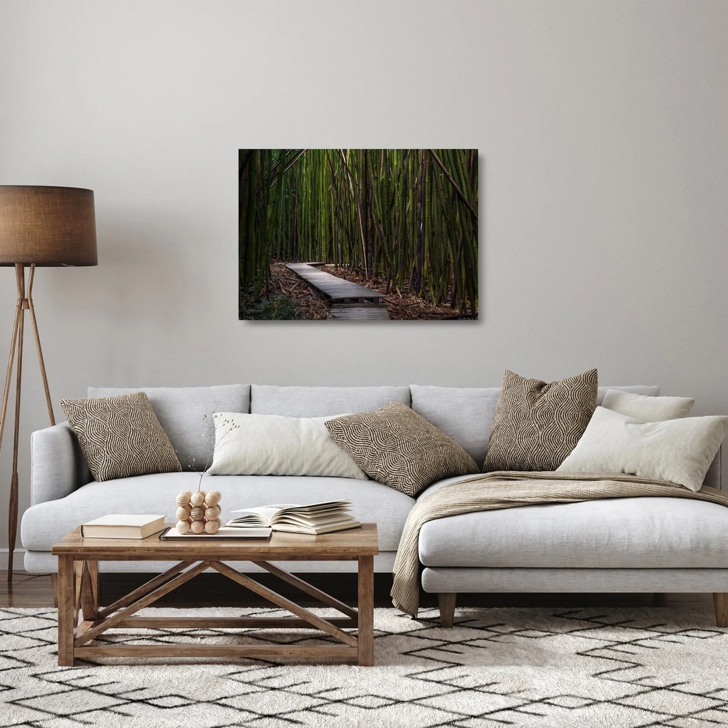 Kép - A bambuszok között (üvegen) (70x50 cm)