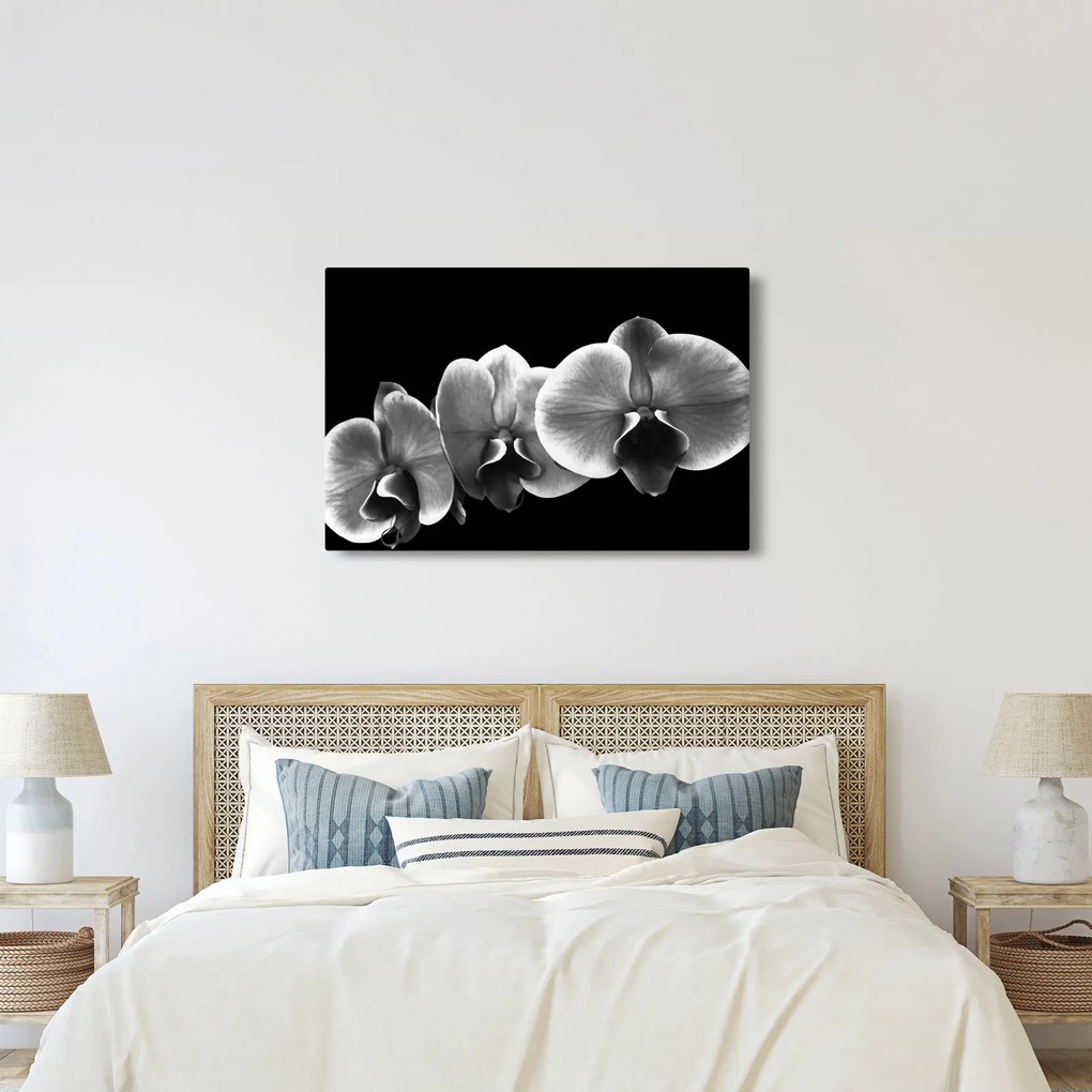 Egy orchidea virág képe (90x60 cm)