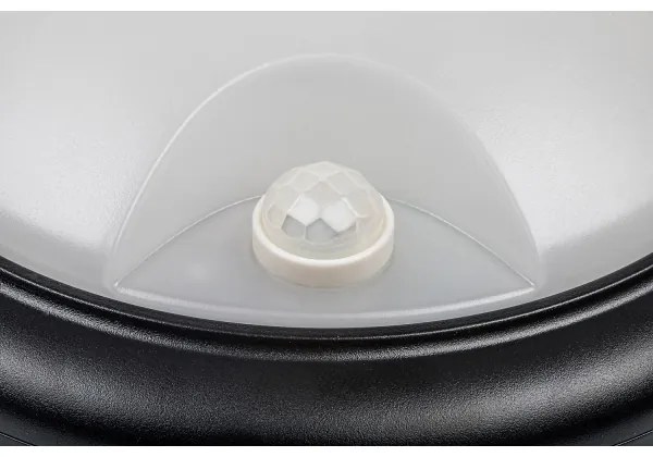 Rabalux 77028 - LED Kültéri fali lámpa érzékelővel LED/15W/230V IP54