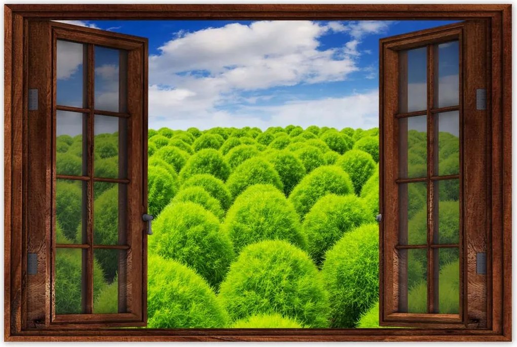 Poszterek 90x60 Zöld tekintet Völgy