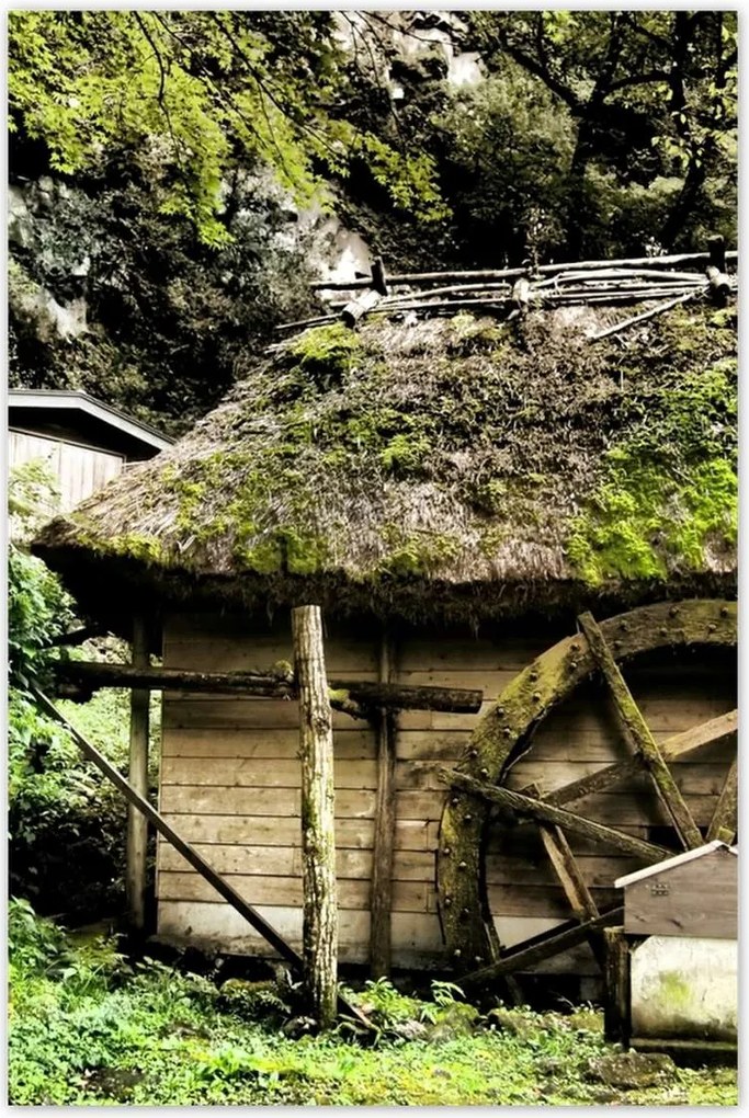 Poszterek 80x120 Vízimalom nádtetővel