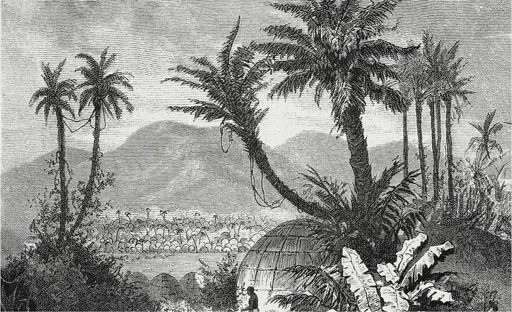 Fotótapéta Flizelin Dekoratív tapéta Trópusi oázis 416x254 Ragasztó