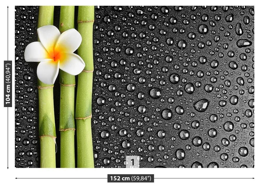 Fotótapéta frangipani virág 104x70 cm
