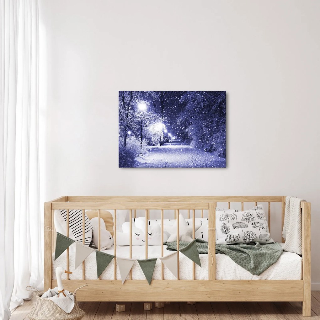 Kép - varázslatos téli éjszaka (70x50 cm)