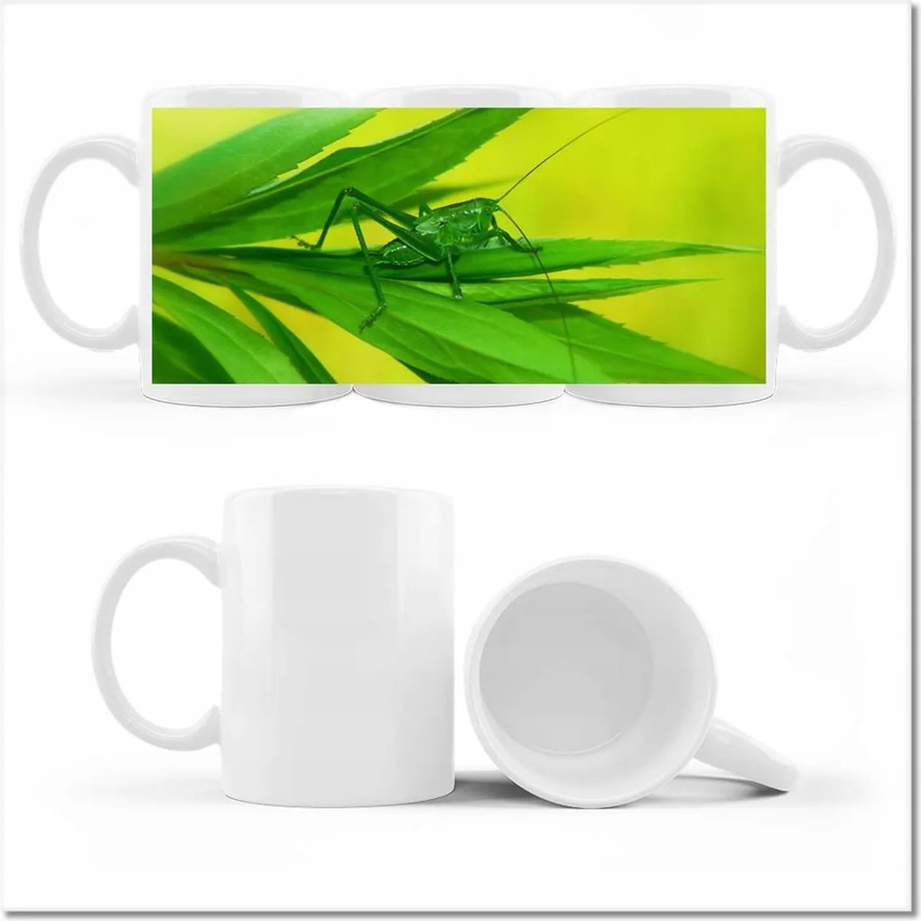 Fotó bögre Állatok