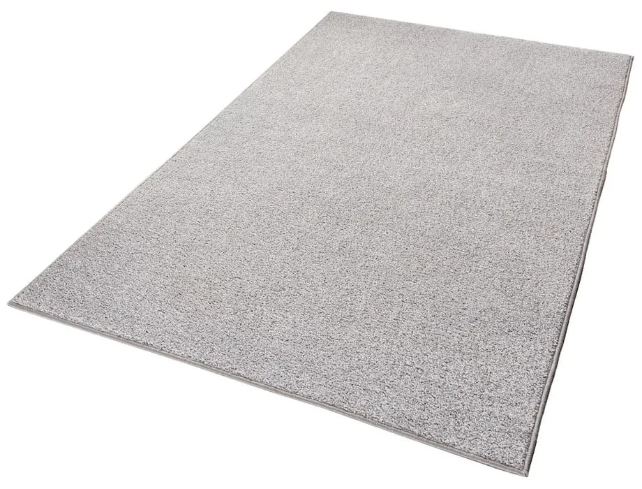 Pure világosszürke szőnyeg, 200 x 300 cm - Hanse Home