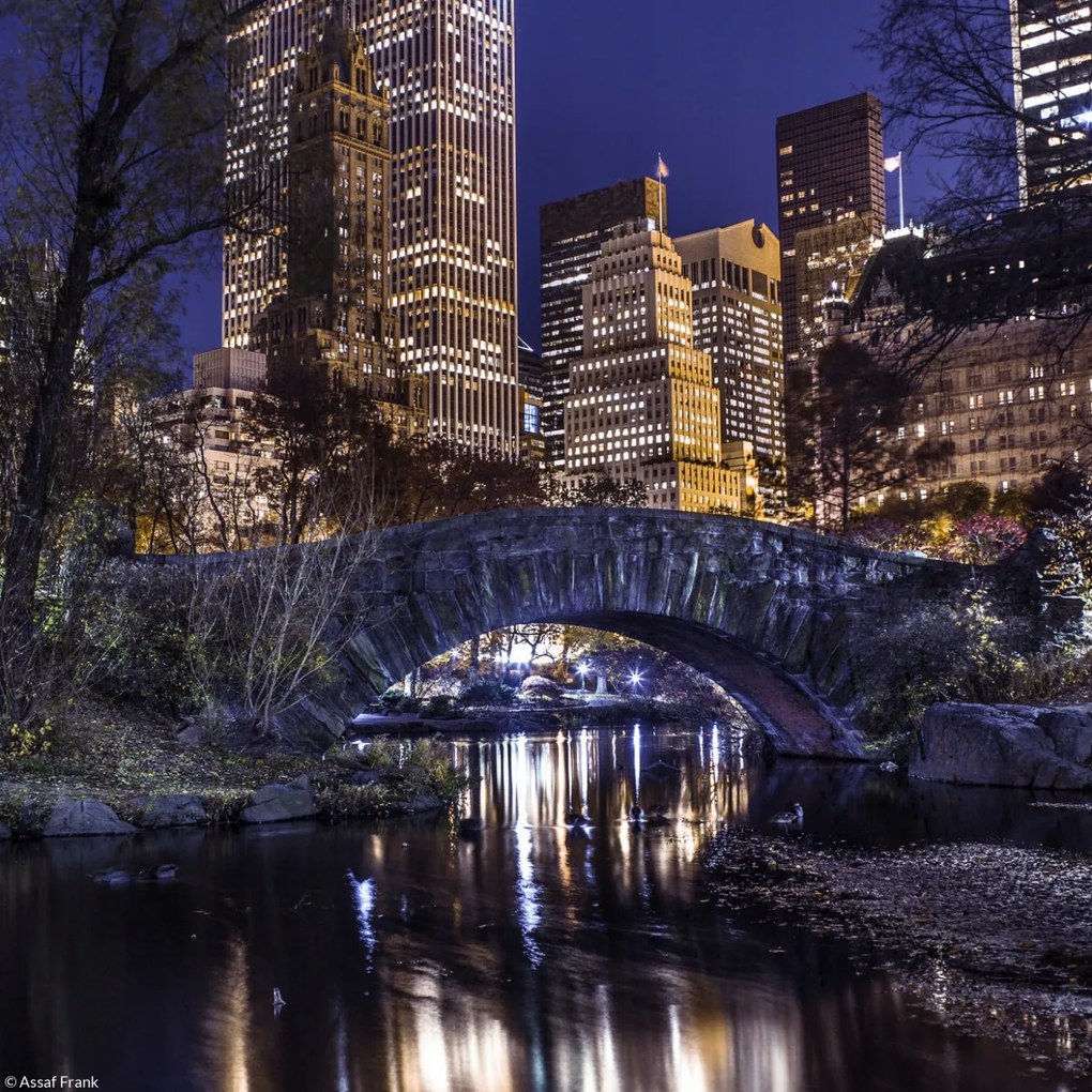 Poszter 20x20cm Esti kilátás a New York-i Central Parkra, Assaf Frank