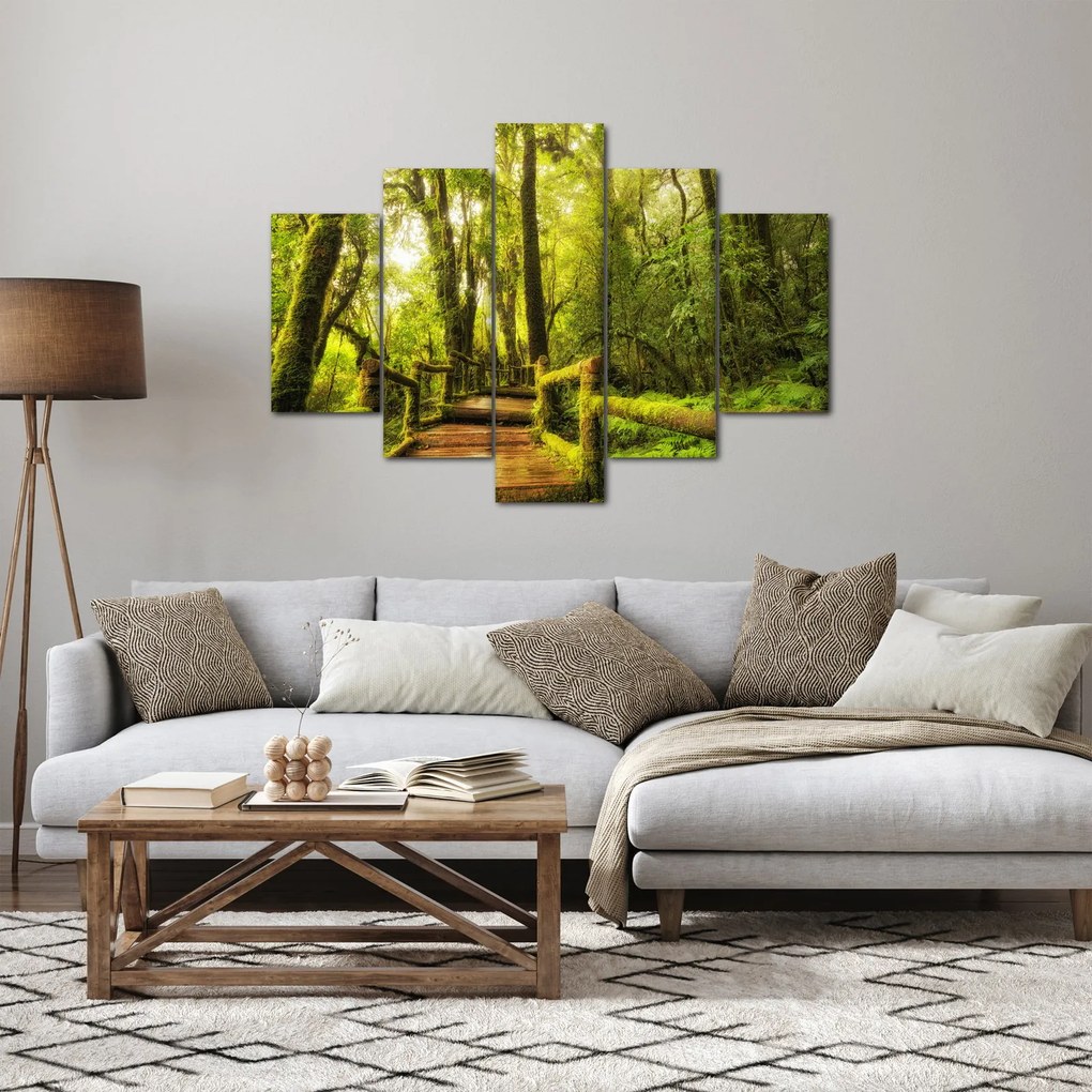 Mohás dzsungel képe (150x105 cm)