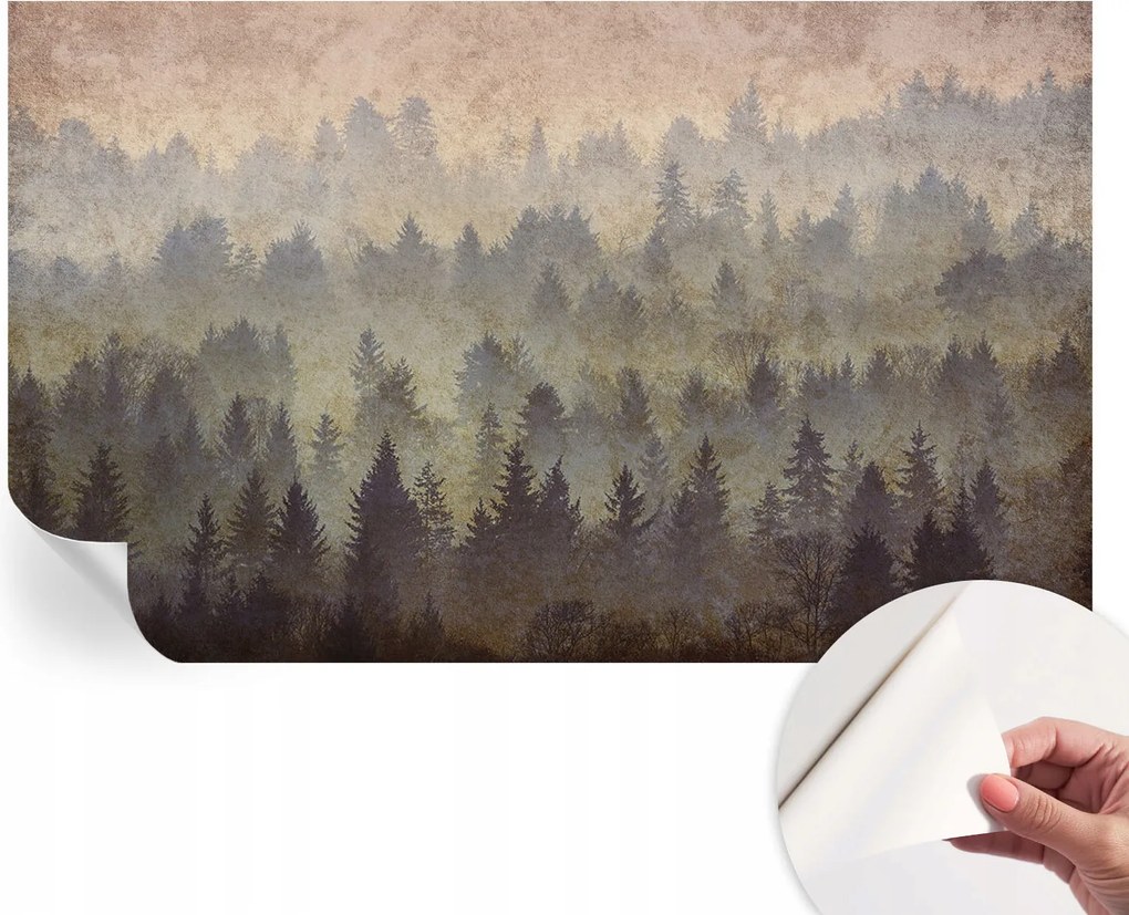 Fotótapéta Dekoratív Fali Tapéta Képekkel Erdei köd 416x254