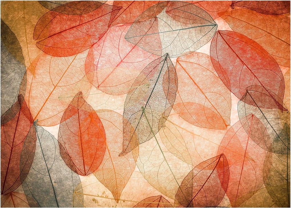 Festett őszi levelek képe (üvegen) (70x50 cm)