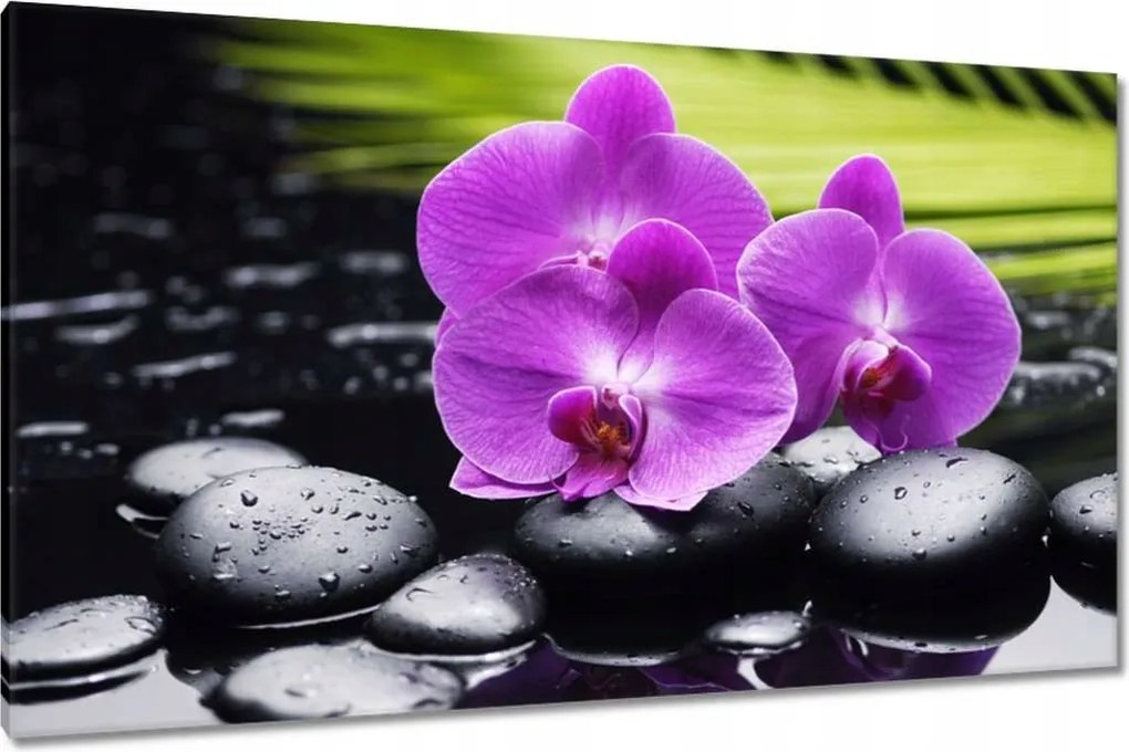 Vászonkép 120x70 Orchidea Valentin napra