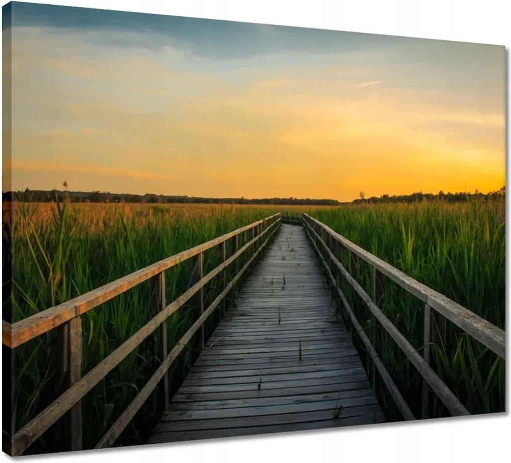 Vászonkép 50x40 Tájkép Naplemente