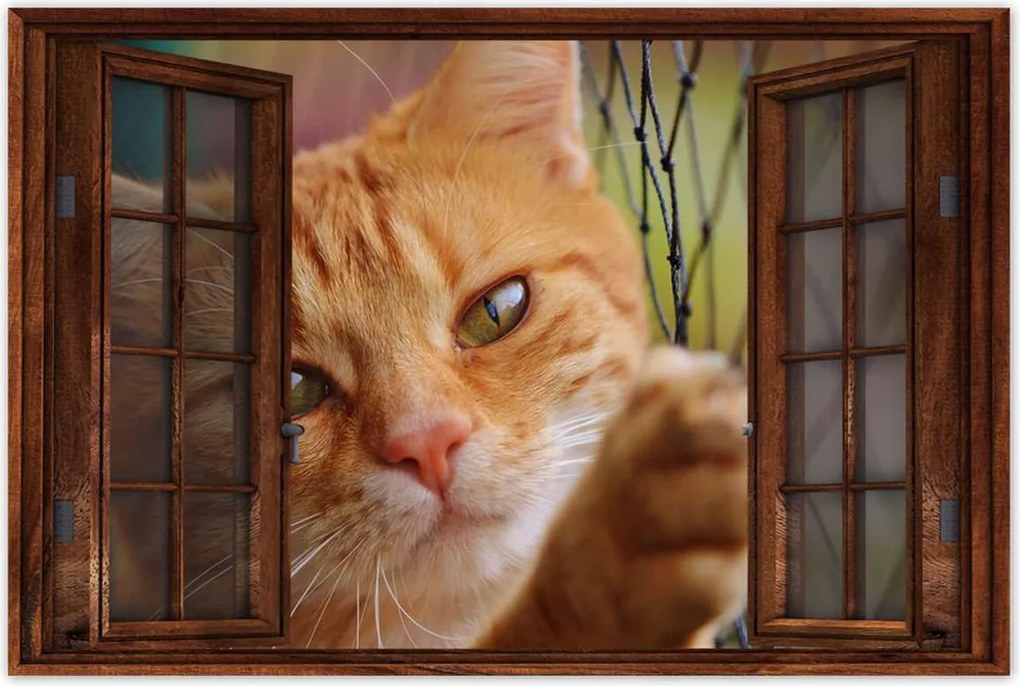 Poszterek 120x80 Cica Cicák Macskák