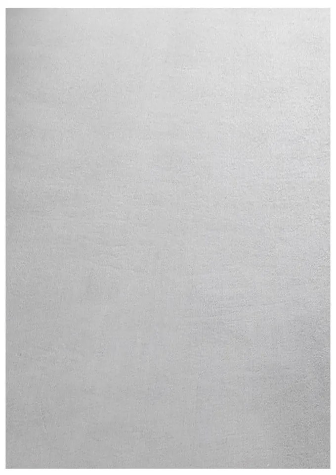 Világosszürke mosható szőnyeg 200x290 cm Sky – Ayyildiz Carpets