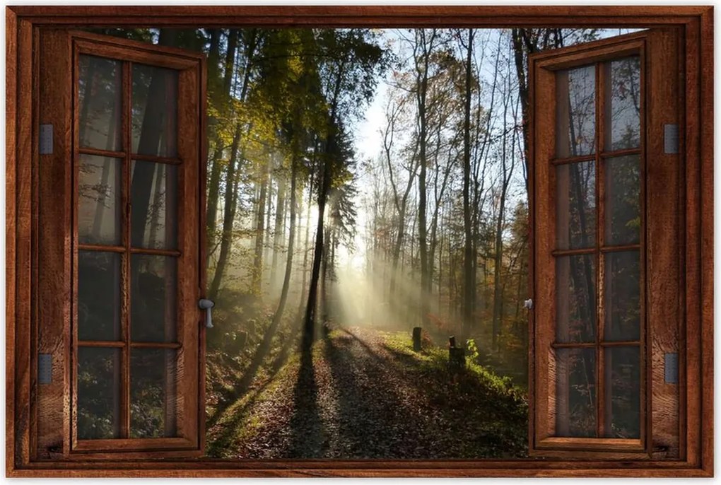 Poszterek 90x60 Napfelkelte az erdőben