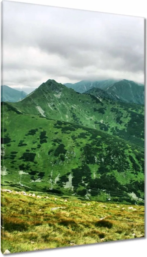 Vászonkép 80x120 Tátra Lengyel hegyek Kilátás