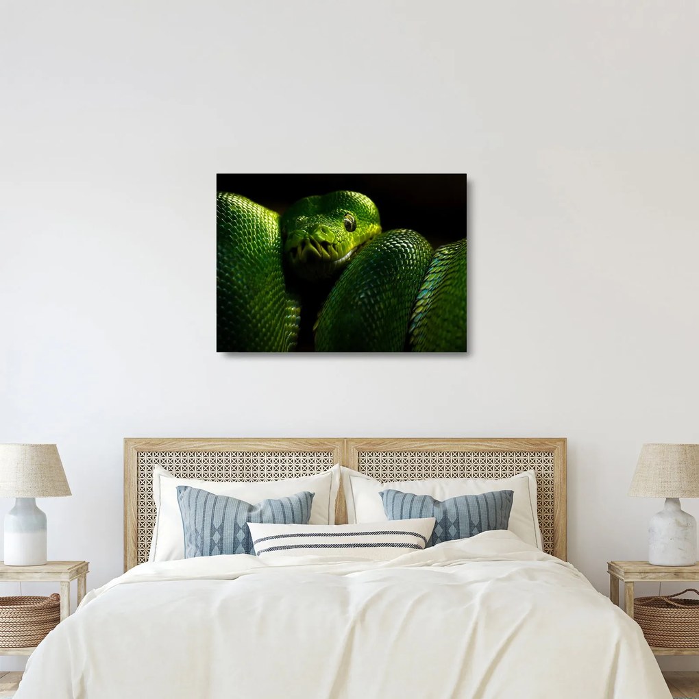 Üveg kép - Zöld kígyó (70x50 cm)