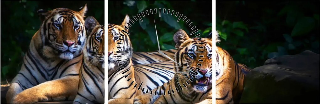 Kép - Tigris testvérek (órával) (90x30 cm)