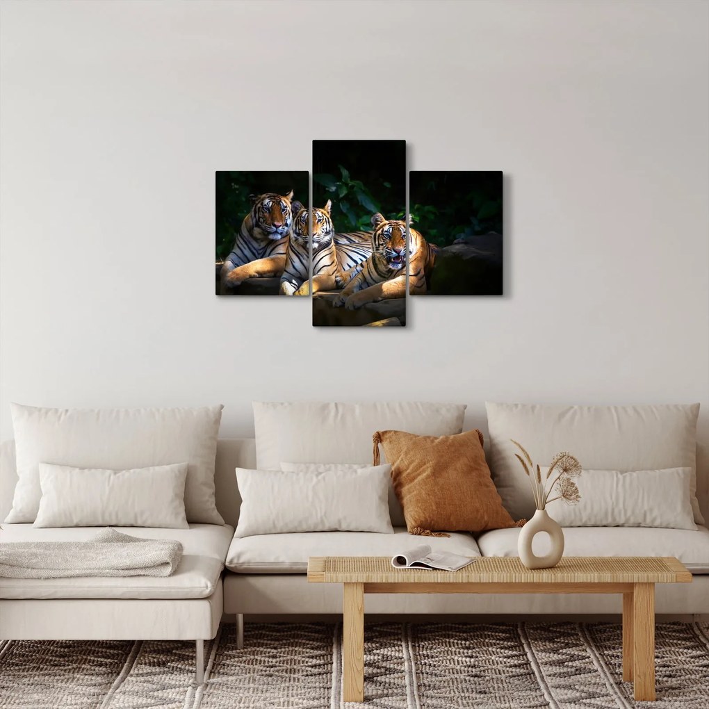 Kép - Tigris testvérek (90x60 cm)