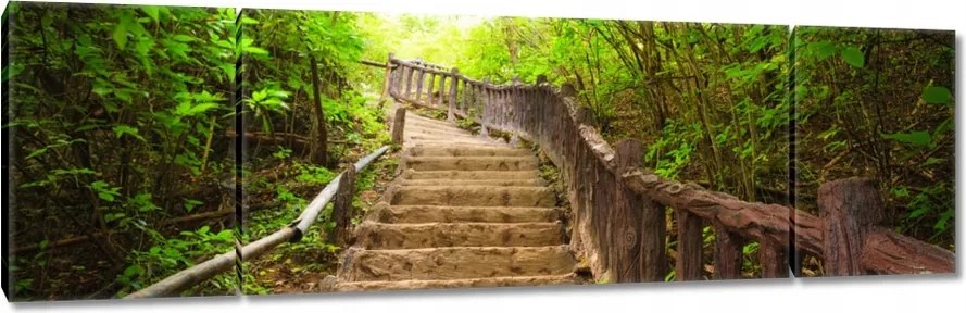 Vászonkép 170x50 Lépcsők az erdőbe