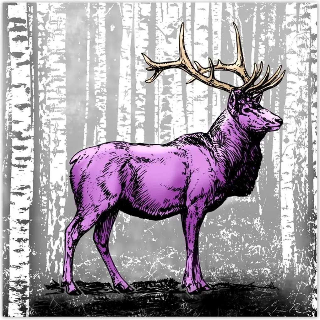 Poszterek 70x70 Szarvas Nyírfa Erdő