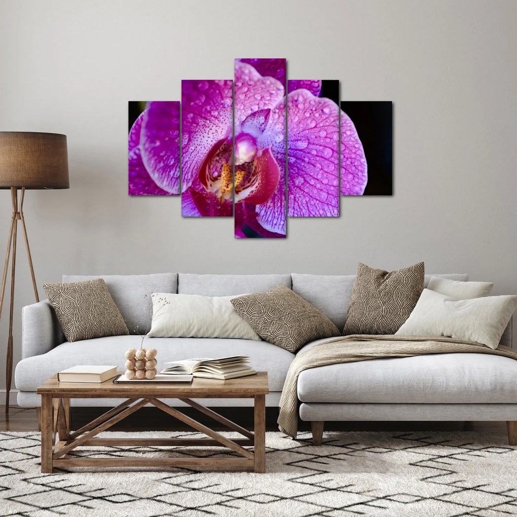 Részletes kép az orchidea virágról (150x105 cm)