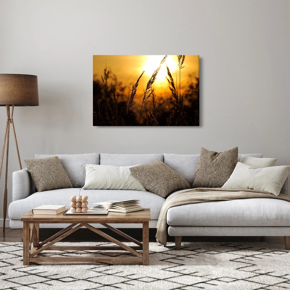 A lenyugvó nap képe (90x60 cm)