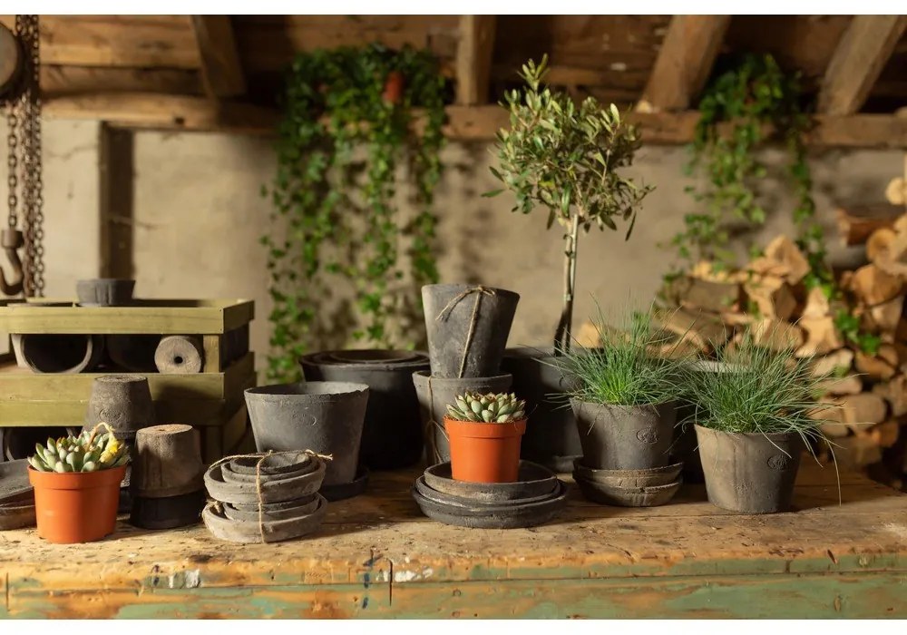 3 db terrakotta virágcserép alátét - Esschert Design