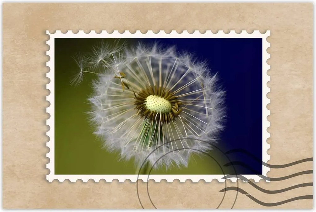 Poszterek 120x80 Pitypang Virág Virágok