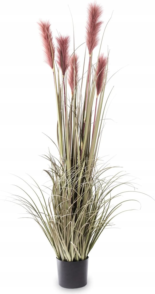 Növény Pampas Fű Rózsaszín Mesterséges Dekoráció